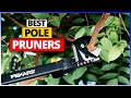 Best Pole Pruners 2024 [Top 6 Pole Pruner Review]