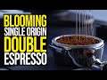 My Morning Routine | Blooming Single Origin Espresso