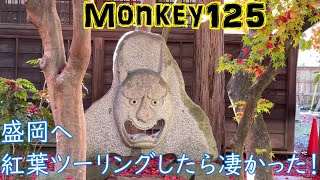 【モンキー125 Monkey125】盛岡紅葉ツーリング　南昌荘