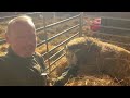 farmer rob s lambing adventure cannon hall farm