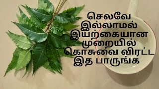 கொசுவை கொல்ல இயற்கை வழி | How to kill mosquito naturally at home | How to get rid of mosquitoes