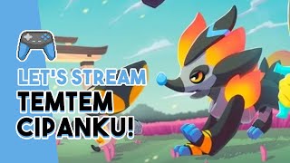 TEMTEM CIPANKU IS HERE!