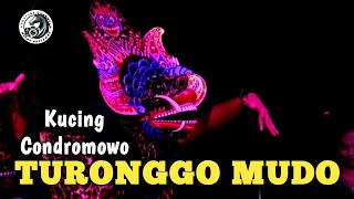 Kucing Condromowo *TURONGGO MUDO* Live Bukur-Sumbergempol-Tulungagung.