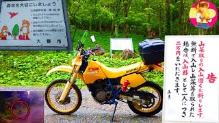 【SUZUKI DR250SH】広域基幹林道『奥越線』ツーリング 【short version】