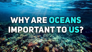 World Ocean Day | Why oceans are important to us? |Ocean Life| Impact of Oceans #TeamSeas #temaseas