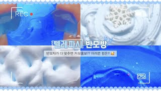 텔레파시 반모방 🦋❄️🫧