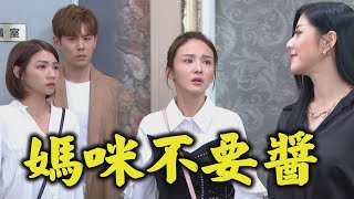 【天之驕女】EP46 仁芯.子婷都被騙了 文鈴上門搶走一等高