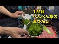 トラックin貧乏食no.7 ぺんぺん草 春の七草 ナズナ 트럭 in 가난한 음식 no.7 펜펜 쿠사 penpen grass cooking on the truck