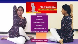 🔥Gomukhasana - கோமுகாசனம் விளக்கமும் பயன்களும்!