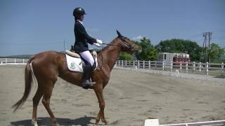 2017.6.3 第61回関東学生馬術女子選手権大会 女子選手権準々決勝 馬場馬術競技 森夏希 飛瑛号