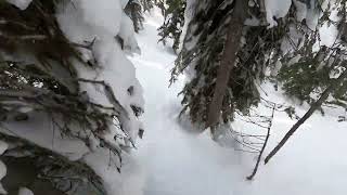 Snowboarding Whitefish,MT 2022