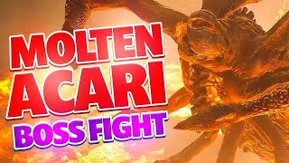 OUTRIDERS | HOW TO BEAT MOLTEN ACARI!