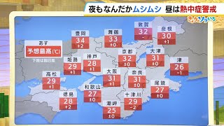 【6月12日(水)】暑い！！梅雨前線は南の海上に…豊岡３４℃、大阪３１℃など各地で真夏日【近畿の天気】#天気 #気象