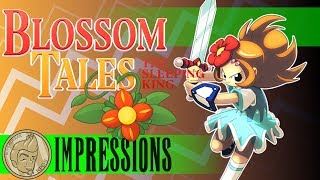 Blossom Tales Impressions (Switch) - Experience Points!