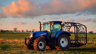 Chain harrowing the grass fields