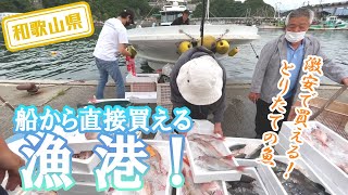 【和歌山県】【安すぎる】とれたての魚を船から直接買える「雑賀崎漁港」