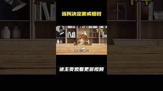 当我决定要戒烟时 #cheems #cheems小剧场