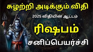 சுழற்றி அடிக்கும் விதி | ரிஷபம் ராசி |  இனி விதியின் ஆட்டம் ஆரம்பம் !  சனிப்பெயர்ச்சி 2025 !