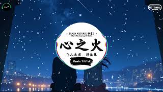 心之火 (DJ抖音版) - F.I.R.飞儿乐团、彭佳慧『当思念飞过夜空缠绕指尖停留 美的像一场梦，当你背影转身后 吞噬在人海中擦不干的寂寞。』♪ || 这音乐一听就上头 | 抖音 | TikTok