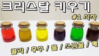 크리스탈 만들기 시작! 콜라 후추 깨 넣어서 수정키우기 제발 잘 자라다오.. - 머박이