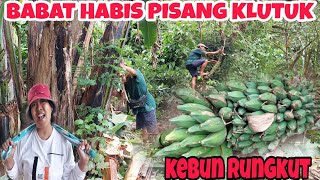 PANEN GEDANG KLUTUK ‼️bersihkan kebun yg rungkut