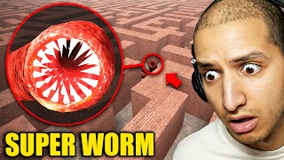 Do NOT Enter SUPER WORM MAZE...