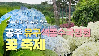 공주에서 꽃길만 걸으세요~ 6월 꼭 가봐야 할 공주 여름꽃 명소