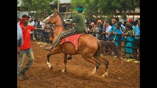 Anthiyur Horse Dance | Very Beautiful Horse Dancing | Wonderful moments