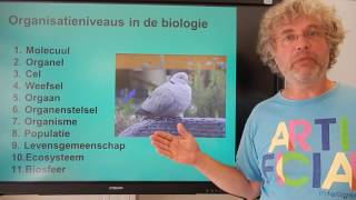 Biologie HV OB Niveaus van de biologie