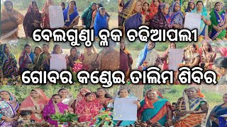 ମହିଳା ଙ୍କ ଆତ୍ମ ନିର୍ଭରଶୀଳ ପାଇଁ ବେଲଗୁଣ୍ଠା ବ୍ଳକ ର ଚଢିଆପଲୀ ଠାରେ ଗୋବର କଣ୍ଡେଇ ତାଲିମ ଶିବିର ସମାପନ #gundicha