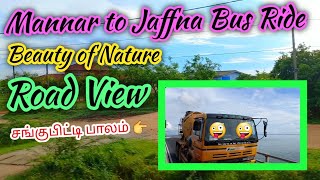 Going Mannar to Jaffna | Road View | Beauty of nature | OutOfLevel-Tamil | #Jaffna #diwali