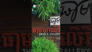 ធាមឃាលើរី ខេត្តសៀមរាប - Theam's Gallery Siemreap