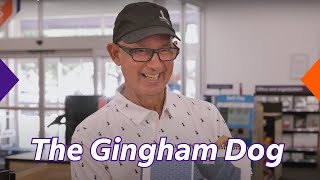 The Gingham Dog’s Winning Strategy: How FedEx Office Print and Shipping Solutions Boost Success