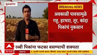 Buldhana Unseasonal Rain : अवकाळी पावसामुळे बुलढाणा जिल्ह्यात गहू, तूर, हरभरा, कांदा पिकांचं नुकसान