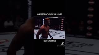 Francis Ngannou hardest puncher on planet 😱😱