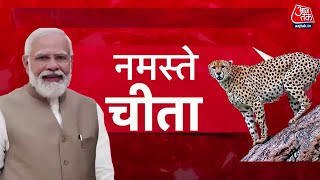 शेर से बड़े दिल वाला चीता आ रहा है... | Project Cheetah | Kuno Wildlife Sanctuary | PM Modi