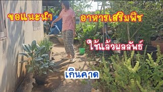 ขอแนะนำเคล็ด(ไม่)​ ลับ!! ใช้ แค่ครั้งเดียวเห็นผลเลย พืชผักที่บ้าน งามทันใจ