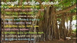 പേരാൽ | കൗതുക കഥകൾ | പേരാൽ | ആൽ | Banyan tree | Ficus benghalensis | Indian fig | ദേശീയ വൃക്ഷം | മകം