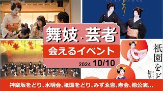 舞妓芸者さんイベント！神楽坂をどり､水明会､祇園をどり､みずゑ會､寿会､舞妓撮影会､他定期公演。2024/10/10 #舞妓 #舞子 #芸者 #観光 #maiko #kyoto #tokyo