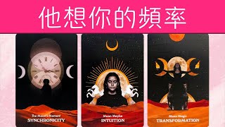 他在偷偷想念你嗎？有多頻繁？會想些什麽？    |曖昧|愛情|戀愛|桃花|塔羅占卜|