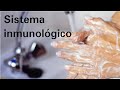 El sistema inmunológico - Ciencias Naturales