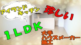 収納たっぷり！2018年築アイランドキッチンのお部屋です！【フレスクーラ　B】