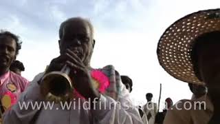 Mysore Dasara is the ‘Naada Habba’ (State festival) of Karnataka