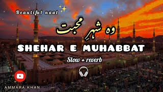 Shehar e muhabbat || heart touching naat♥️🤲🏻🎧✨ | slow and reverb  + lyrics #2023