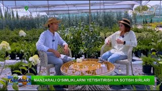 Agroolam | Manzarali o'simliklarni yetishtirish va sotish sirlari [26.07.2023]