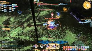 ffxiv 2014 04 29 FSで行くブレフロ神話周回用範囲焼きの練習風景（ナイト視点）