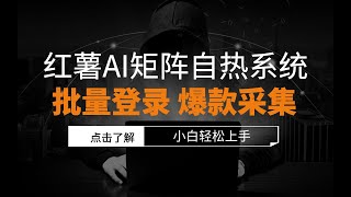 红薯AI矩阵自热系统，批量登录，爆款采集，一键克隆