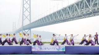 [4K] 陽舞笑　神戸よさこいまつり 2019 本祭2日目