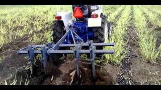 Vaibhav Adjustable Cultivator in Sugarcane farm