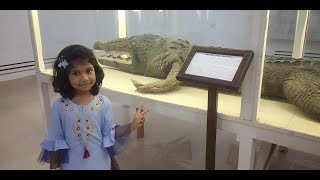 Bagerhat Museum in Bangladesh || ঐতিহ্যবাহী বাগেরহাট যাদুঘর